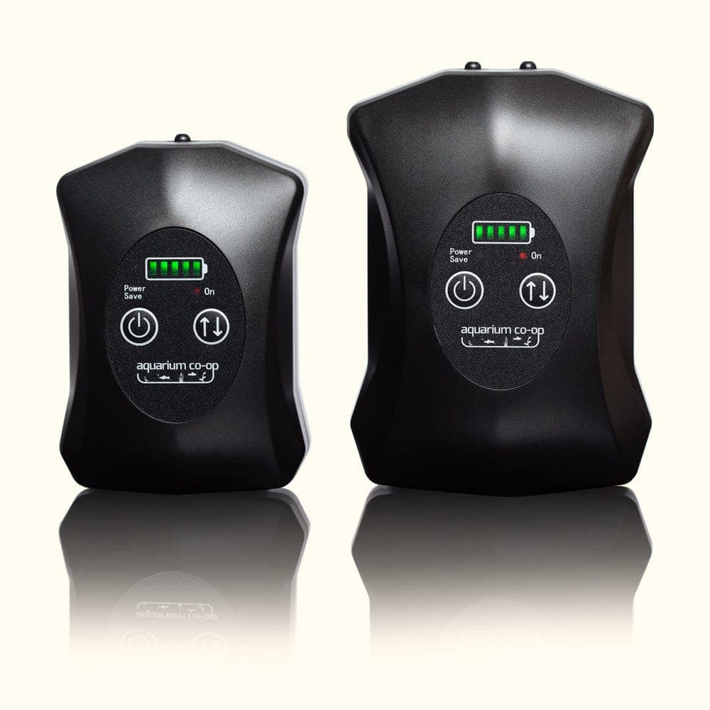 Aquarium Co-Op Air Pump at Sea Cave Inc.
