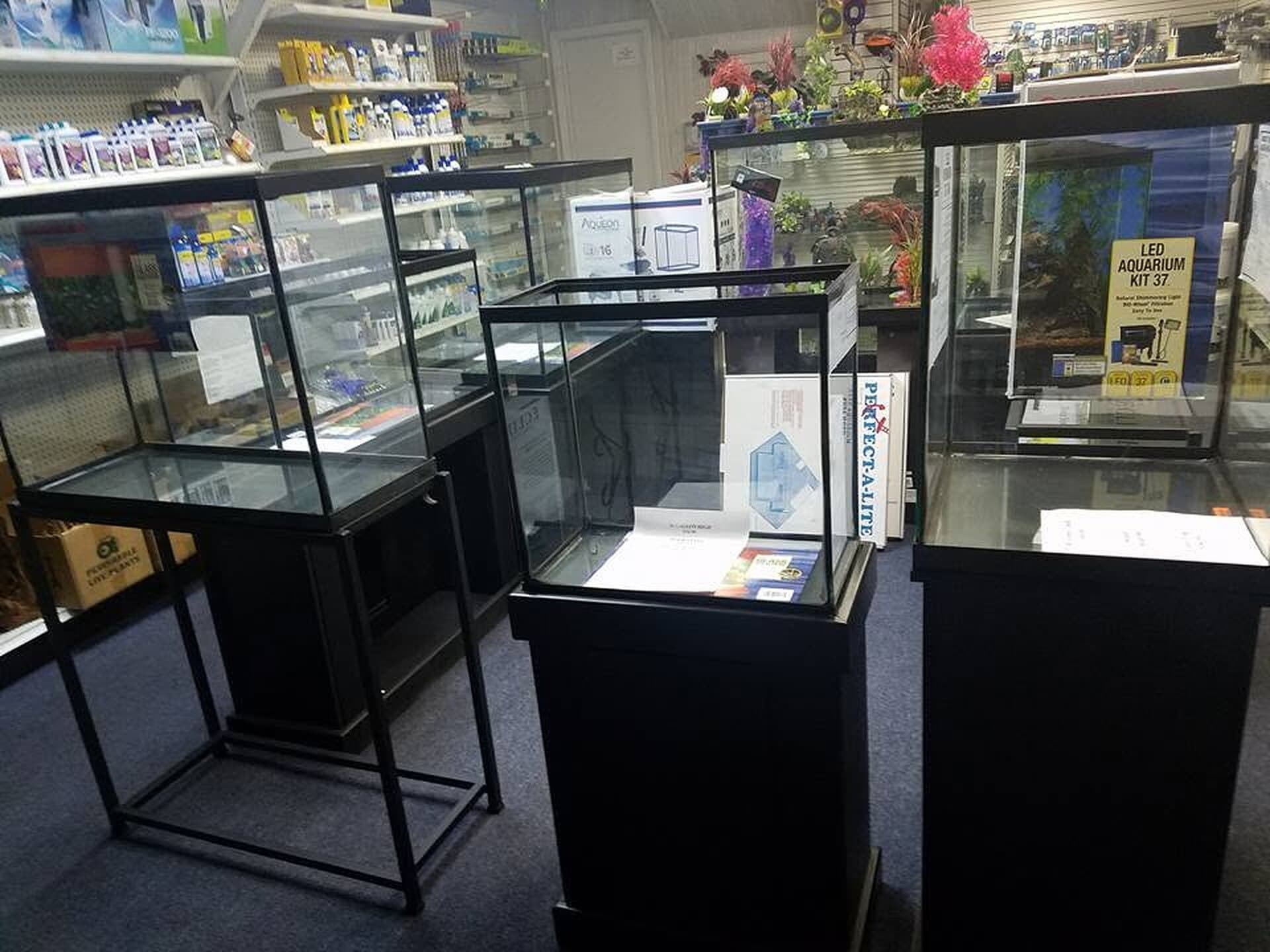 Inside Sea Cave — display tanks and a wall of reef supplies